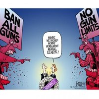 Gun Control Debate