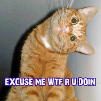 Excuse Me WTF R U Doin