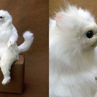 Persian Cat Room Guardian Persian Cat Room Guardian meme.