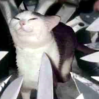 Knife Cat