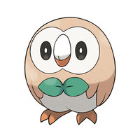 Rowlet's Roundness Rowlet's Roundness