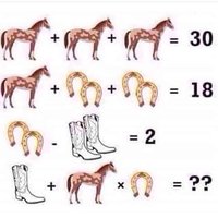 Horse Algebra Question Horse Algebra Question