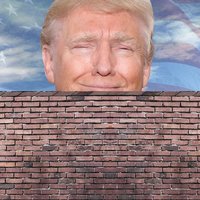 Donald Trump's Wall