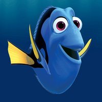 Dory Dory
