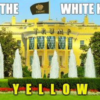 #Pissgate / The Pee Tape #Pissgate / The Pee Tape