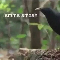 Lemme Smash