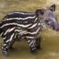 Sandsverse Sandsverse