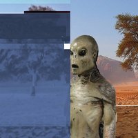 4chan Alien Sighting Hoax