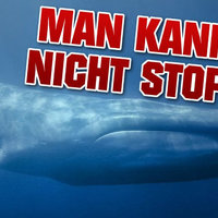 Blue Whale Challenge / trend.