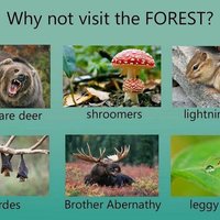 "Why Not Visit?" Edits