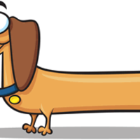 THE LONGEST ENTRY FOR KNOW YOUR MEME EVER MADE