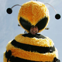 Bees Are Dying at an Alarming Rate