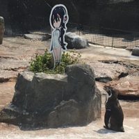Grape-kun