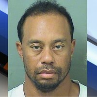 Tiger Woods' Mugshot
