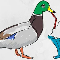 Milkshake Duck