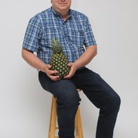 Pineapple Dad