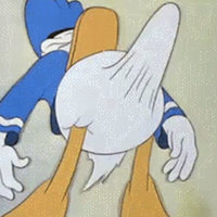 Donald Duck Boner Donald Duck Boner