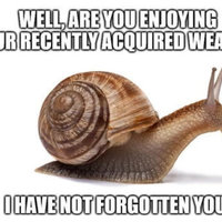 Immortal Snail Immortal Snail joke / snail trend.