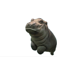 Swipe Up To Make This Fly