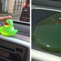 Melted Duck on a Dashboard