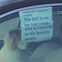 Please Don't Break The Window