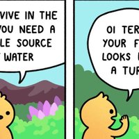 To Survive In the Wild