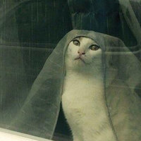 "Tell Cersei. I Want Her to Know It Was Me"