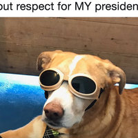 Nothing But Respect for My President Nothing But Respect for My President