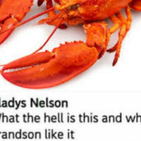 What The Hell Is This and Why Did My Grandson Like It