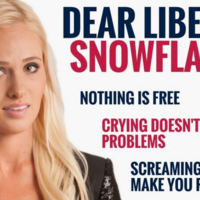 Tomi Lahren's "Dear Liberal Snowflakes" Picture