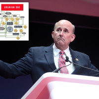 Louie Gohmert's Uranium One Chart