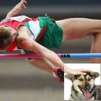 Dog Petting Photoshops Dog Petting Photoshops