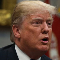 Very Stable Genius