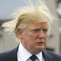 Donald Trump's Hair