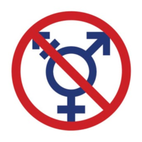 Trans-Exclusionary Radical Feminism / TERFs terf meaning slang