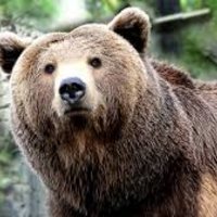 Four Pictures of Jennifer Lawrence