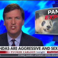 Tucker Carlson's Sex-Crazed Pandas Tucker Carlson's Sex-Crazed Pandas