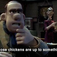 Those Chickens Are Up to Something Those Chickens Are Up to Something