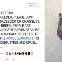 #PitBullDropOff #PitBullDropOff