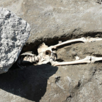 Crushed Pompeii Skeleton