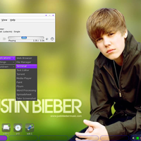 Install Biebian (Justin Bieber Linux)