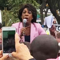 Maxine Waters' Trump Protest Controversy