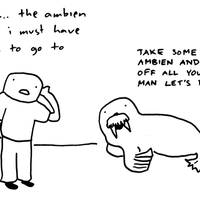 Ambien Walrus Ambien Walrus