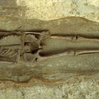 Knife-armed Skeleton