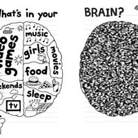 What's in Your Brain?