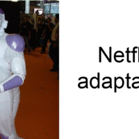 Netflix Adaptation