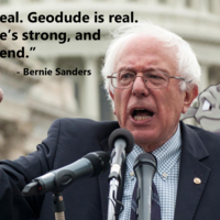Geodude Is Real, and Strong, and He's My Friend Geodude Is Real, and Strong, and He's My Friend