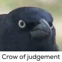 Crow of Judgement Crow of Judgement meme.