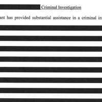 Michael Flynn's Redacted Russian Investigation Memo