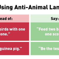 Stop Using Anti-Animal Language